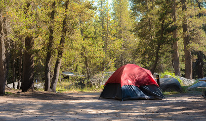 camping in the forest