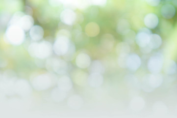 Wall Mural - abstract bokeh background style, nature colorful blur background