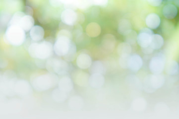 Wall Mural - abstract bokeh background style, nature colorful blur background