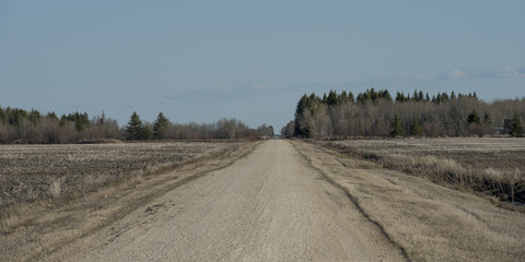 Wall Mural - Dirt road passing through a prairie field, Manitoba, Canada