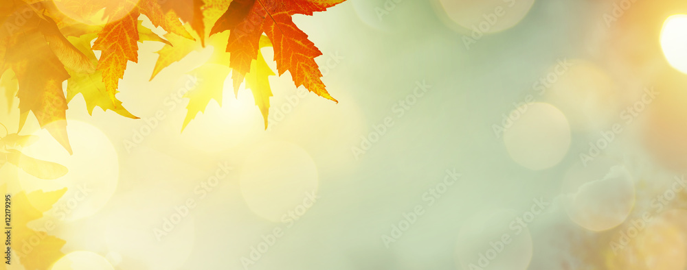 abstract nature autumn Background with yellow leaves Stock Photo ...