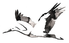 Black And White Monochrome Painting With Water And Ink Draw Crane Bird Illustration
