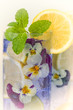 Violet cocktail with edible flowers