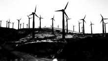 A High Contrast Black And White Field Of Wind Turbines On A Hillside.