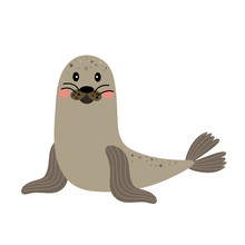 Seal Animal Cartoon Character. Isolated On White Background. Vector Illustration.