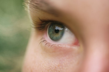 close up photo of beautiful green young female eye outdoors