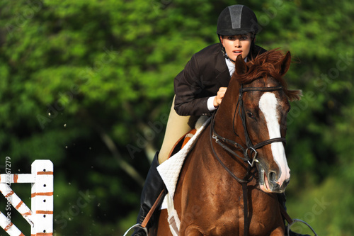 Fotografie, Obraz Woman Equestrian Riding Jumping on Show Horse