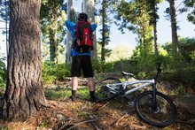 Excited Mountain Biker In Forest