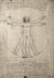 canvas print picture - Zeichnung Leonardo da Vinci