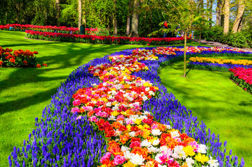 Wall Mural - Blooming flowers in Keukenhof park in Netherlands, Europe.