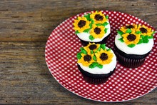 Sunflowers On Chocolate Cupcakes On Red And White Gingham Plate