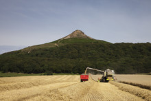 A Harvester Combine Works In A Field, Roseberry Topping, North Yorkshire, England
