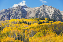 Autumn Landscape In Ohio Pass, Colorado, USA