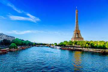 Wall Mural - paris