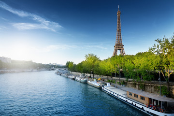 Wall Mural - paris
