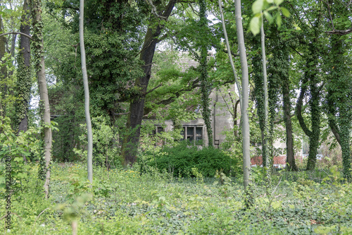 Verstecktes Unbewohntes Haus Im Wald Kaufen Sie Dieses Foto Und