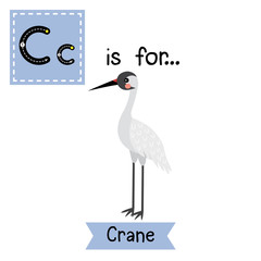 Wall Mural - C letter tracing. Standing Crane bird. Cute children zoo alphabet flash card. Funny cartoon animal. Kids abc education. Learning English vocabulary. Vector illustration.