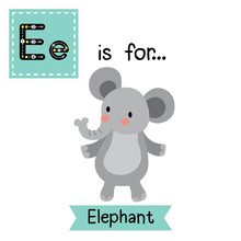 E Letter Tracing. Elephant Standing On Two Legs. Cute Children Zoo Alphabet Flash Card. Funny Cartoon Animal. Kids Abc Education. Learning English Vocabulary. Vector Illustration.