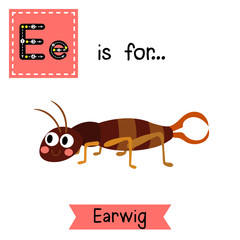 Wall Mural - E letter tracing. Crawling Earwig insect. Cute children zoo alphabet flash card. Funny cartoon animal. Kids abc education. Learning English vocabulary. Vector illustration.