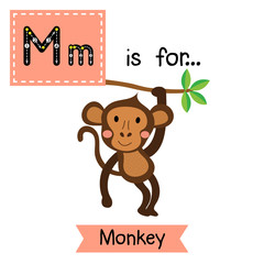 Wall Mural - M letter tracing. Monkey. Cute children zoo alphabet flash card. Funny cartoon animal. Kids abc education. Learning English vocabulary. Vector illustration.