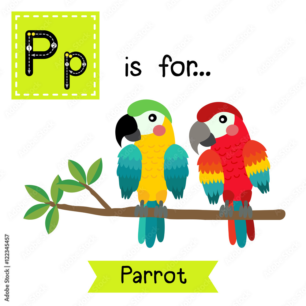 P letter tracing. Colorful Parrot bird. Cute children zoo alphabet ...