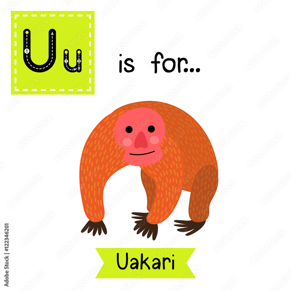 U letter tracing. Uakari. Cute children zoo alphabet flash card. Funny ...