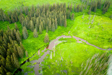 Aerial Alaskan Forest, Stream And Wetlands
