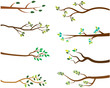 Vector Set of Tree Branches with Green Leaves