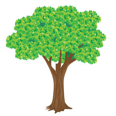 Wall Mural - green tree vector design