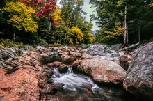 Swift River In Autumn White Mountains, New Hampshire