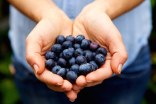 Handful Of Fresh Blueberries