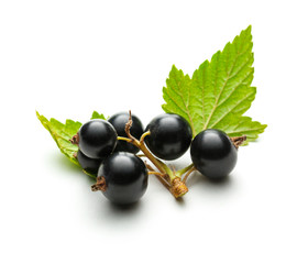 Wall Mural - Fresh black currant with leaves