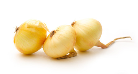 Wall Mural - Fresh onion on the white background