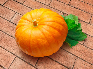 Wall Mural - One big pumpkin