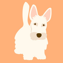 Scottish Terrier Dog Adult Vector Illustration