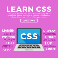 Wall Mural - laptop with css word on screen. learn css, programming, web development, coding concepts. modern gra