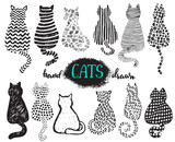 Fototapeta Koty - Set of hand draw textured cats in graphic doodle style