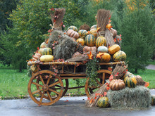 Large Rustic Wagon With Pumpkins And Hay. Pumpkin Different Lots. Concept - Harvest, Autumn Holiday, Farm