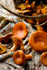 Sticker - Pine mushroom in a basket on an old wooden table