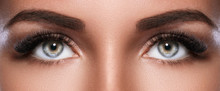 Female Face With Beautiful Eyebrows And Artificial Eyelashes