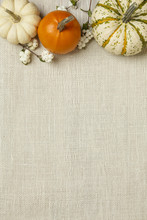 Miniature Pumpkins On Rustic Wood And Burlap Cloth Background. Simple, Natural Country Style Fall Autumn Decorations.