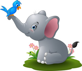 Wall Mural - Cartoon baby elephant playing with blue bird