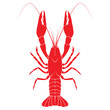 Red crayfish vector flat illustration isolated on white backgrou