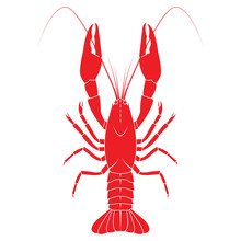 Red Crayfish Vector Flat Illustration Isolated On White Backgrou