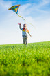 © mr.markin - Young boy flies his kite in an open field. Little kid playing with kite on green meadow. Childhood concept.