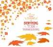 © Big Pearl - Thanksgiving Day background with maple leaf