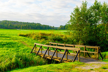 Small Wooden Bridge Over A Narrow Stream In Morning Sunlight. Farmers Field And Distant Forest In Background.