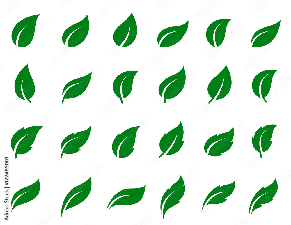 set of leaf icons - obrazy, fototapety, plakaty 