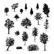 Sketch of black silhouettes trees
