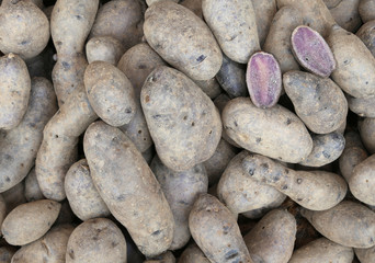 background of raw potatoes